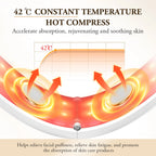 ANLAN Facial Lifting Device: EMS Slimming & Light Therapy