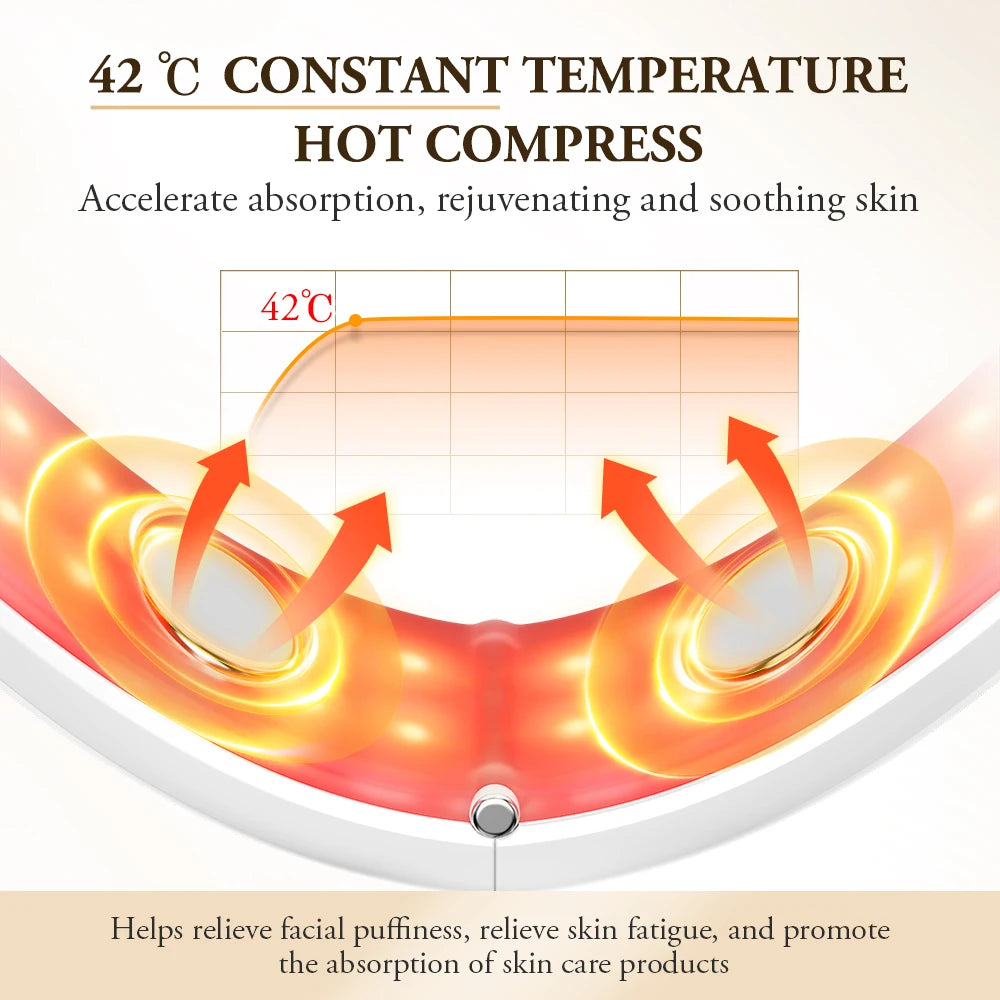ANLAN Facial Lifting Device: EMS Slimming & Light Therapy